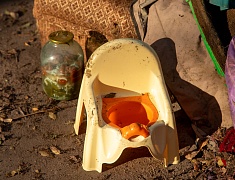 К акции «Город берегу» присоединилась молодежь Благовещенска