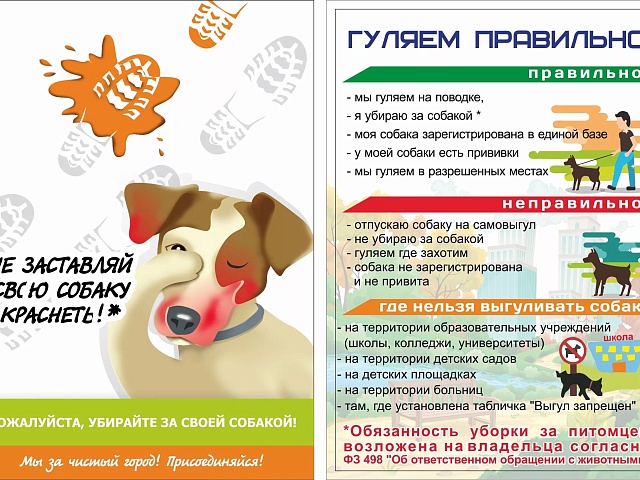 Не заставляй собаку краснеть: благовещенцев призывают убирать за своими питомцами на прогулке 