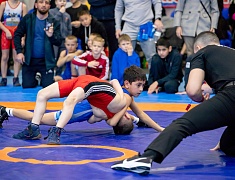 Столица Приамурья стала площадкой для соревнования по вольной борьбе