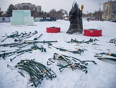 В Благовещенске приступили к монтажу главной новогодней ели