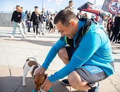 Более 300 благовещенцев поучаствовали в народной пробежке