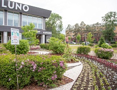 Фестиваль цветов «Город в цвете»