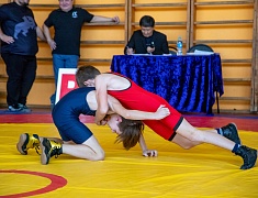 Открытое первенство города Благовещенска по вольной борьбе памяти капитана Владислава Мазуркова