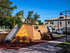 Выездное совещание мэра по содержанию общественной территории в селе Плодопитомник