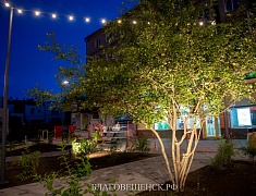 Благоустройство сквера Бабочка Благоустройство сквера Бабочка