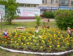 Фестиваль цветов «Город в цвете»