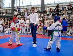 Почти три сотни спортсменов собрал турнир по тхэквондо в Благовещенске