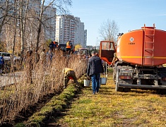 К общегородскому субботнику присоединились работники администрации Благовещенска