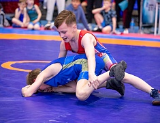 Открытое первенство Благовещенска по спортивной борьбе «VII Наследие ТРОИ»