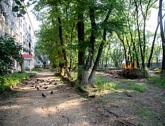 Ход работ в Ломоносовском сквере проинспектировал мэр Благовещенска Олег Имамеев