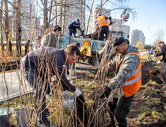 К общегородскому субботнику присоединились работники администрации Благовещенска