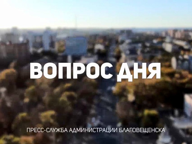 Возле моего дома аварийное дерево, куда мне идти, чтобы провели санитарную обрезку? 