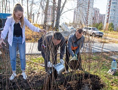 К общегородскому субботнику присоединились работники администрации Благовещенска