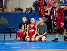 Столица Приамурья стала площадкой для соревнования по вольной борьбе