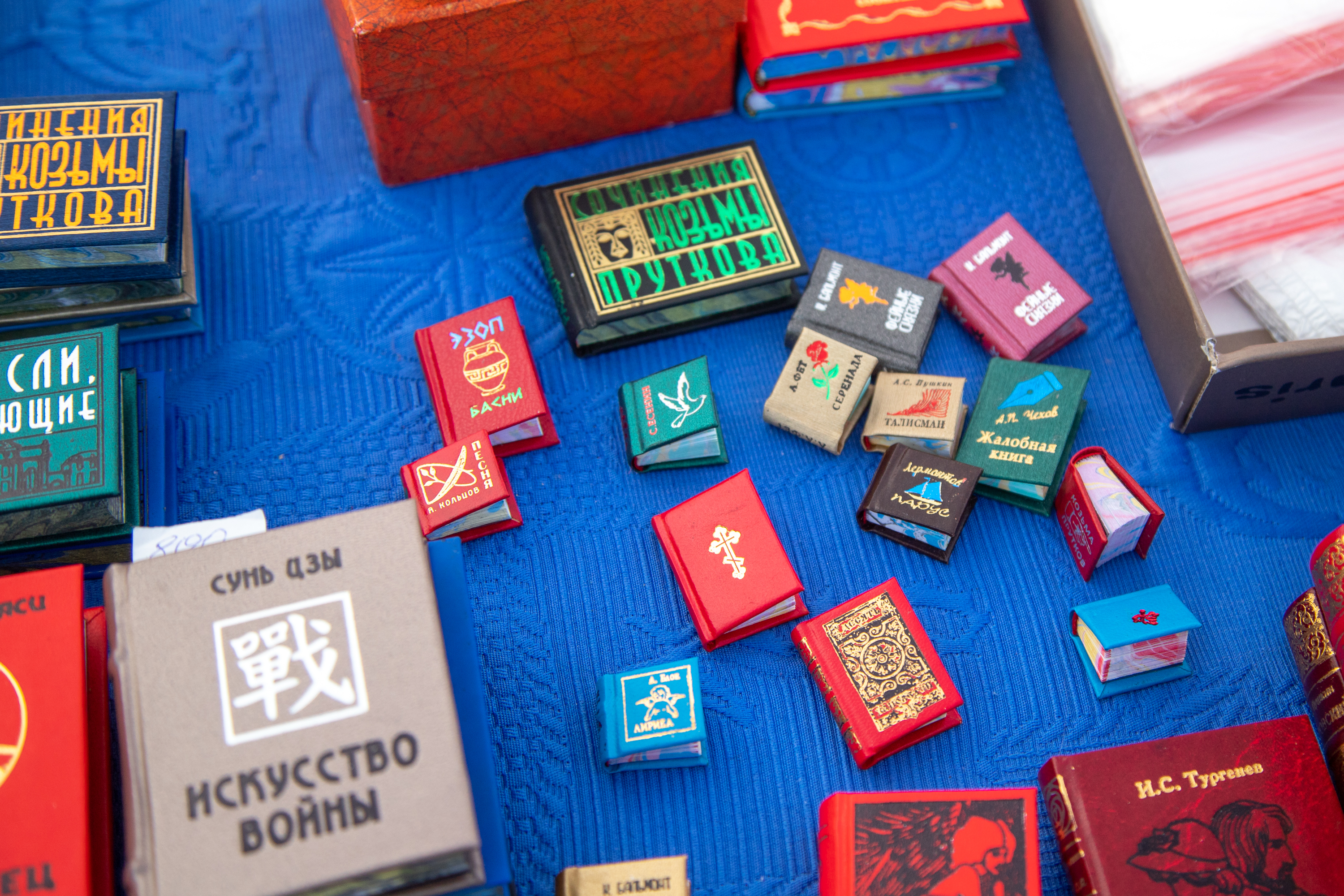 В Благовещенске стартовал книжный фестиваль «Берег»