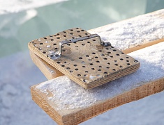 В Благовещенске возводят зимний городок