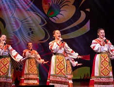 В Благовещенске День народного единства отметили большим концертом 