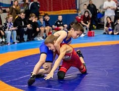 Столица Приамурья стала площадкой для соревнования по вольной борьбе