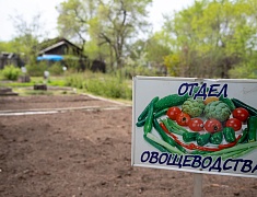 В Благовещенске представили лучшие практики работы с детьми-инвалидами и детьми с ОВЗ