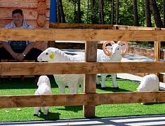 Командно-штабные учения по ликвидации условного очага особо опасного заболевания животных