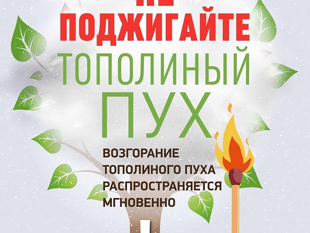 Тополиный пух, жара, июнь: об опасности быстрого возгорания летних снежинок предупреждают жителей областной столицы 