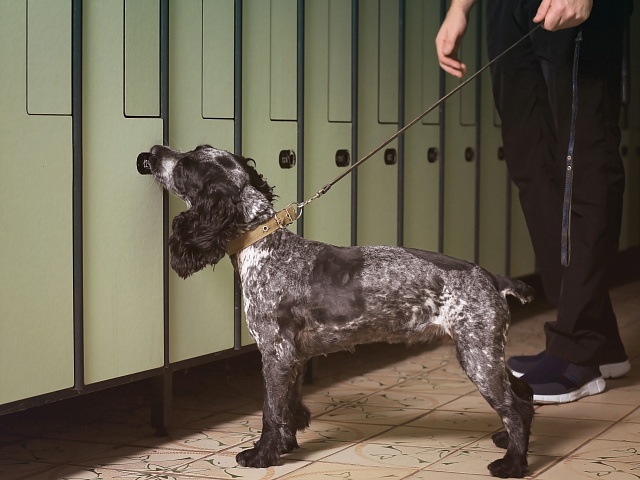 Антитеррор: общие правила безопасности