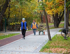 В Благовещенском Первомайском парке продолжается второй этап реконструкции