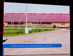 Отчет губернатора за пять лет