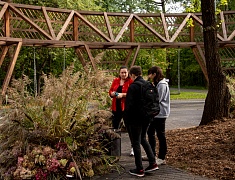  В Первомайском парке назвали лучшие работы в стиле лэнд-арт