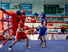 Чемпионат и первенство Амурской области по боксу стартовали в Благовещенске