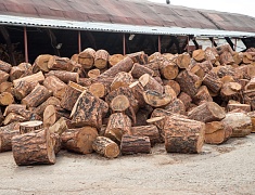 Мэр Олег Имамеев посетил производственный комплекс "Аметис"