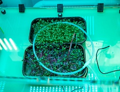 В районе Сплавной конторы открыли модельную библиотеку