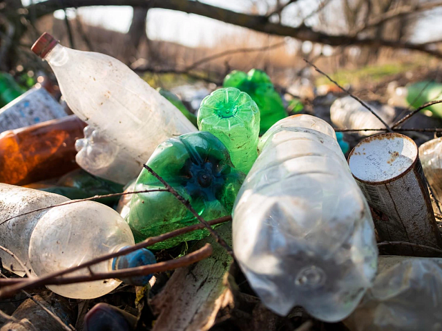 С начала года в Благовещенске ликвидировали 137 несанкционированных свалок