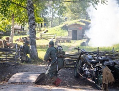 Более 4 с половиной тысяч благовещенцев отметили День государственного флага