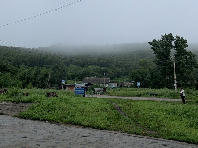 Землю для делового управления в Моховой Пади могут арендовать благовещенцы
