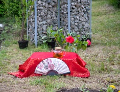 Фестиваль цветов «Город в цвете»