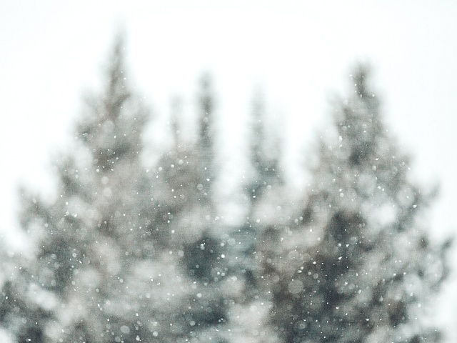 В Благовещенске скорость ветра усилится до 13 метров в секунду