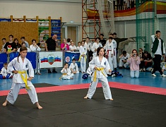 В Благовещенске состоялось открытие Чемпионата по Тхэквандо
