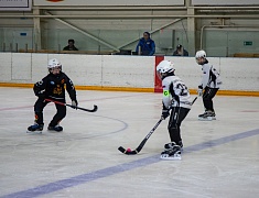 В Благовещенске впервые проходят отборочные игры турнира по русскому хоккею на призы патриарха Московского и всея Руси