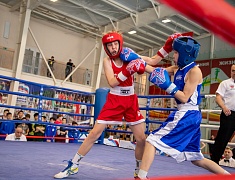 В спорткомплексе «Юность» стартовали соревнования по боксу среди юношей 13-14 лет