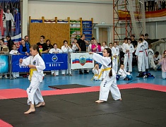 В Благовещенске состоялось открытие Чемпионата по Тхэквандо