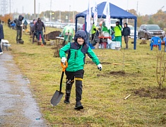 Аллею из сирени в 1,5 километра высадили в отдаленном районе Благовещенска