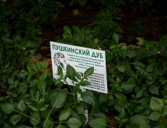 «Гостеприимный город для всех» стартовал в Благовещенске 