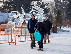 В Благовещенске подвели итоги конкурса снегозавров