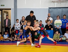 Памятный турнир по вольной борьбе в Благовещенске объединил спортсменов из семи регионов Дальнего Востока