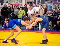 Дальневосточные соревнования по вольной борьбе "Кубок Содружества"