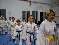 Почти три сотни спортсменов собрал турнир по тхэквондо в Благовещенске