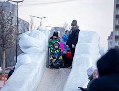 В Благовещенске подвели итоги конкурса снегозавров