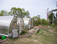 В Благовещенске представили лучшие практики работы с детьми-инвалидами и детьми с ОВЗ