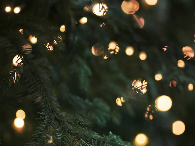 Благовещенских школьников смутил вопрос «Где нельзя устанавливать ёлку?»